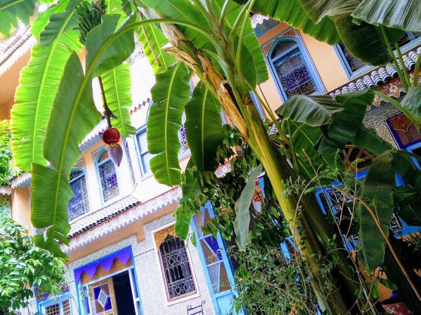 Riad Carole - Perfect For Families & Groups Marrakesh Buitenkant foto